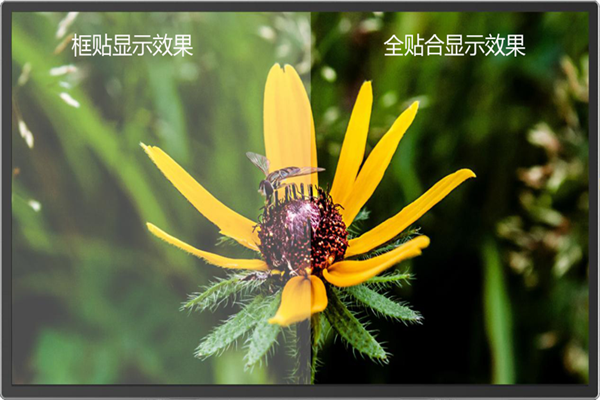 全貼合和框貼有啥區(qū)別？