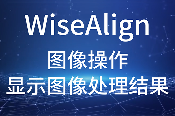 WiseAlign-圖像操作-顯示圖像處理結果
